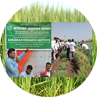 कृषक अनुभाग