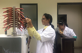 मास्टर्स प्रोजेक्ट्स