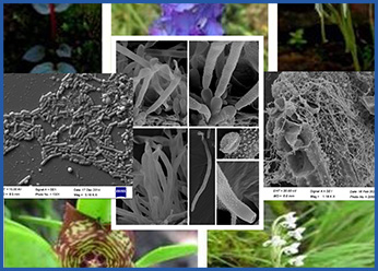 रिपोसिटरीज