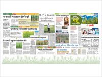 Crop Improvement through Research