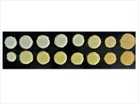 Dr. Manoj Oak Research Image5