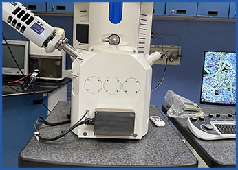 Consultancy Services