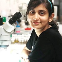 MInal Ayachit M. Ayachit