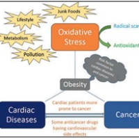 Oxidative Stress