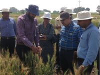 Dr. Sudhir Navathe research image 6