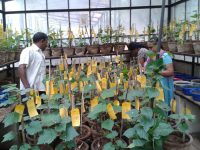 Dr. Sujata Tetali Research Image5