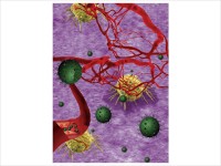 Dr. Virendra Gajbhiye Research Image4