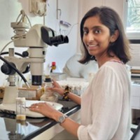 Mrunmayee Kulkarni M. Kulkarni